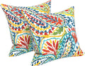 Multi Paisley 16x16 Outdoor Pillows Set of 2