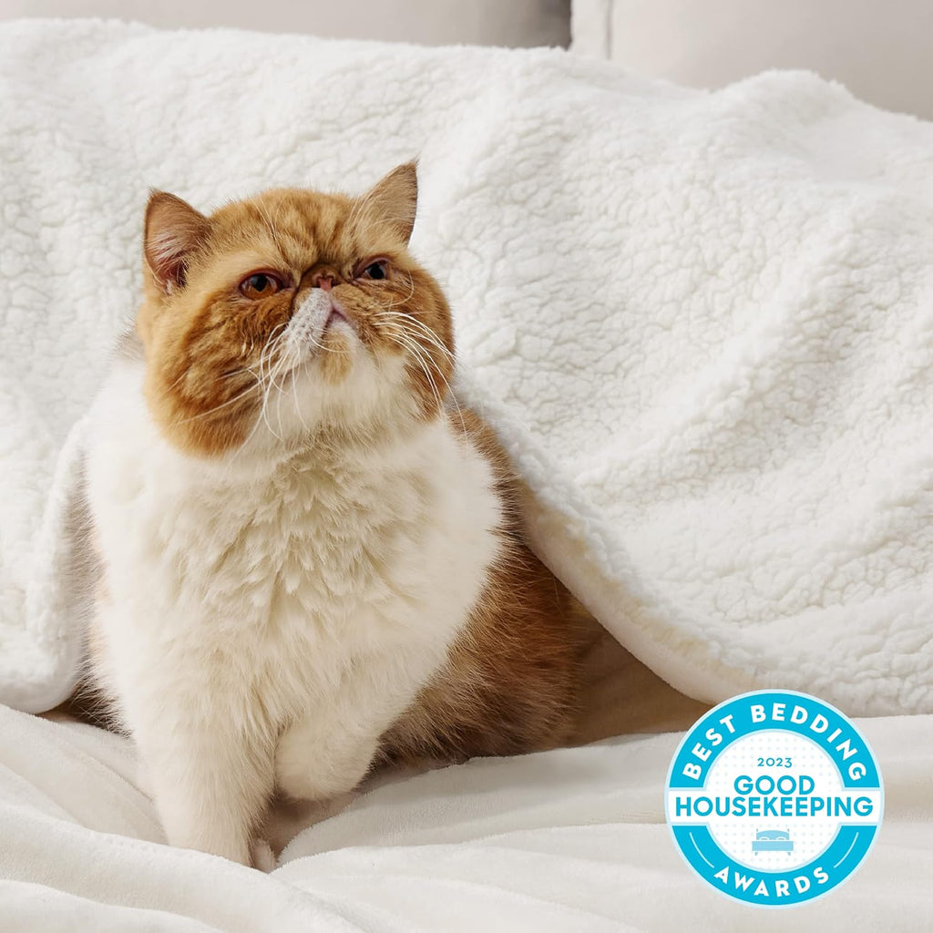 Cream Twin Sherpa Fleece Blanket 60x80